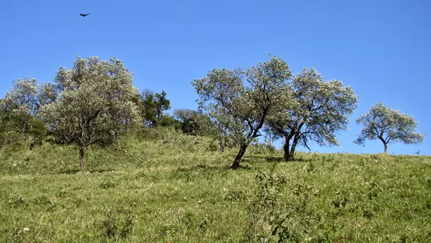 Natural Sourcing
