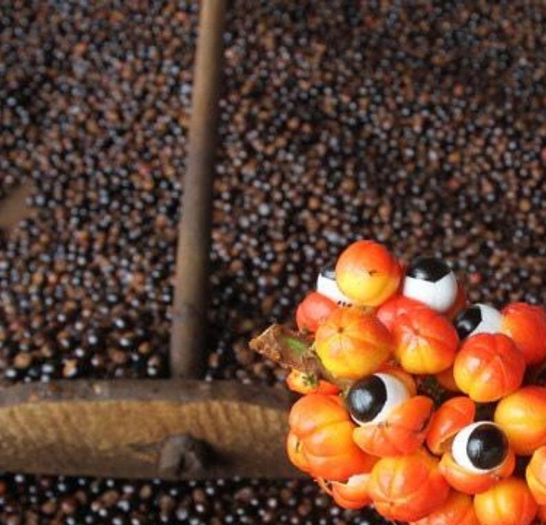 Guaraná Seeds